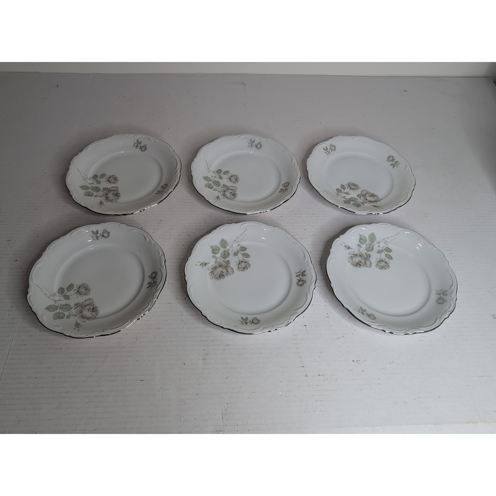 (6) Vtg Mitterteich China Germany Porcelain Mystic Rose Salad Bread Plates 8"